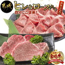 【ふるさと納税】自分にご褒美！宮崎牛(A5)ヒレ＆ロースセット - 牛肉 牛ヒレステーキ ローススライス A5等級/A5ランク 真空パック ステーキソース・塩こしょう付 赤身 冷凍 精肉 ギフト 贈答用 送料無料 AE-0103【宮崎県都城市は2年連続ふるさと納税日本一！】