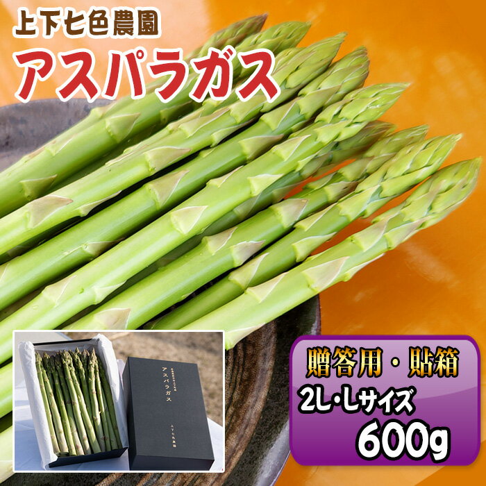 【ふるさと納税】上下七色農園贈答用アスパラガス　2L・Lサイズ　貼箱（600g）［No.1093］／ 物 アスパラ プレゼント お中元 送りもの 野菜 送料無料 広島県
