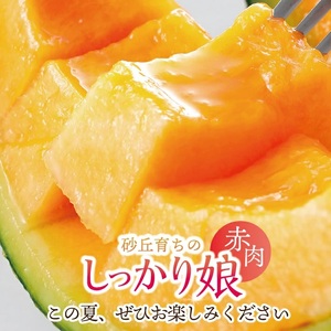 SZ0325　庄内赤肉メロン「しっかり娘」　約3.4kg(赤肉/2玉入/つる付き)