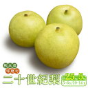 【ふるさと納税】《先行予約》二十世紀梨/廿世紀梨 約2.5kg（5～6玉）or 約5kg（10～14玉）ナシ なし 梨 和梨 和なし 和ナシ ブランド梨 果物 フルーツ 先行受付 FKP9-472