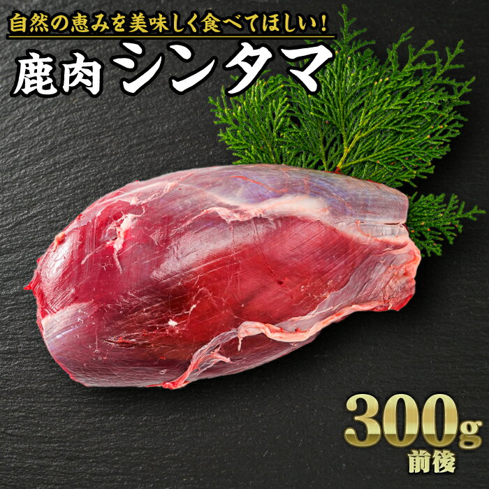 【ふるさと納税】ジビエ 鹿肉 シンタマ（芯玉） 300g｜サステナブル SDGs 新鮮 低カロリー ヘルシー 熟成 カツ 焼肉 シカ 小分け ジビエ食材 YZ-6