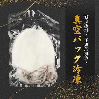 ふるさと納税 美浜町 新鮮で便利!旬のアオリイカ　刺身用開き5枚　約800g(冷凍) |  | 03