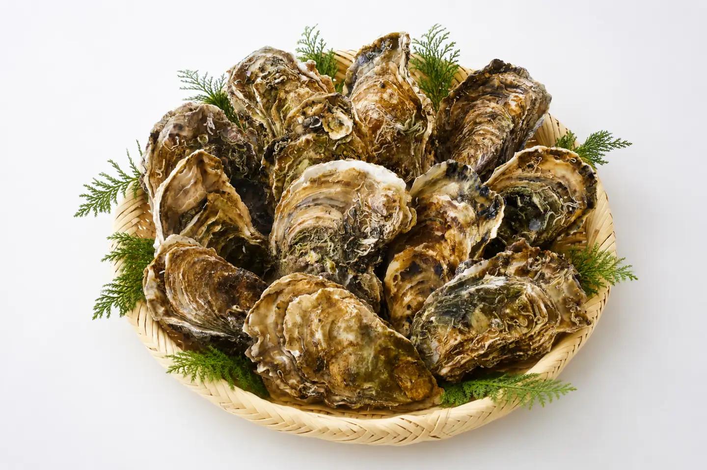 三陸産冷凍殻付き牡蠣 1kg（サイズ：L） 生食用 牡蠣