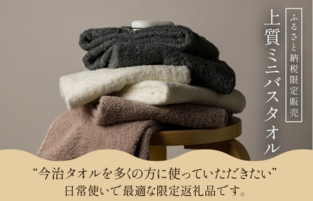 （今治タオルブランド認定） 上質ミニバスタオル 4枚セット グレー [I003990MBTGY] 今治タオル 渡辺パイル織物 ふるさと納税 限定 バスタオル コンパクトバスタオル バスタオル 小さめ