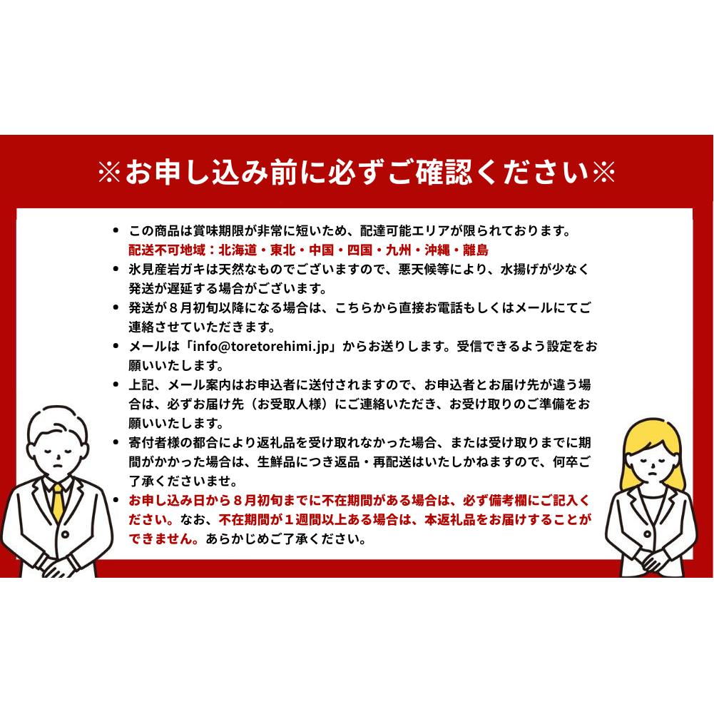【夏限定】 氷見産 天然岩ガキ 5個 〈冷蔵〉
