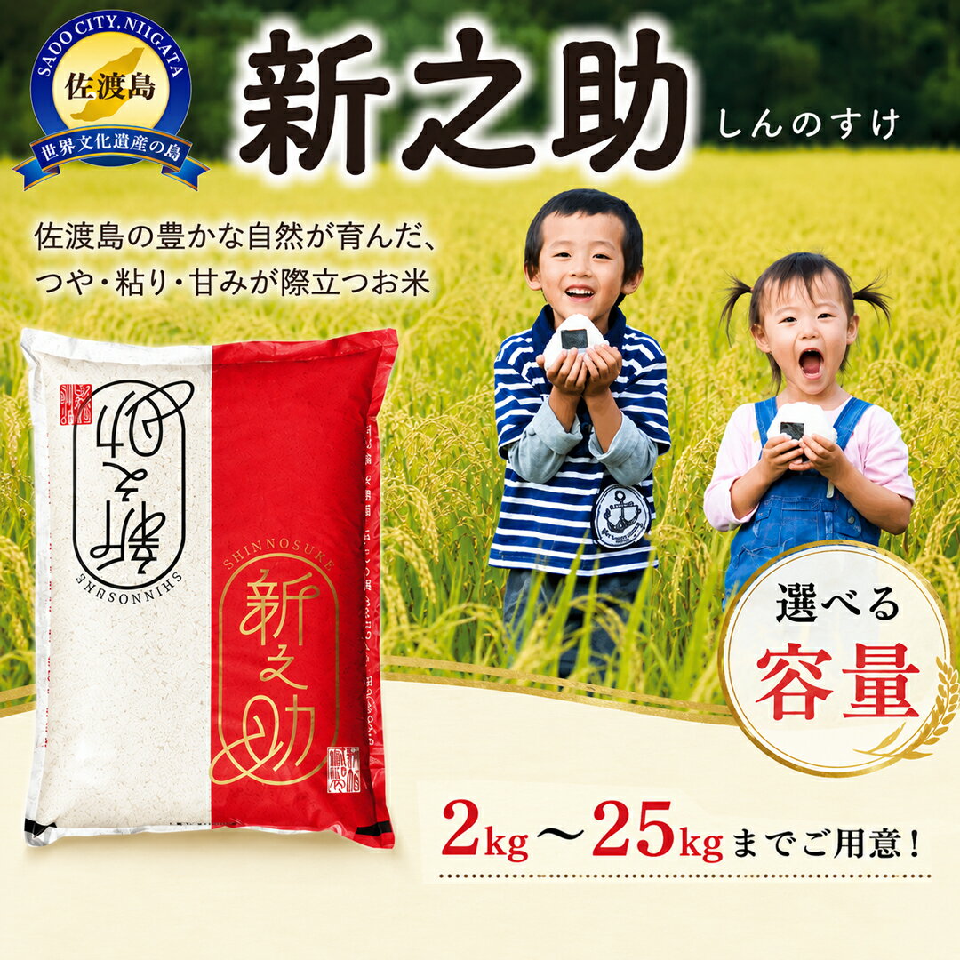 【ふるさと納税】佐渡島産 新之助 白米選べる容量 2kg 5kg 10kg 20kg 25kg