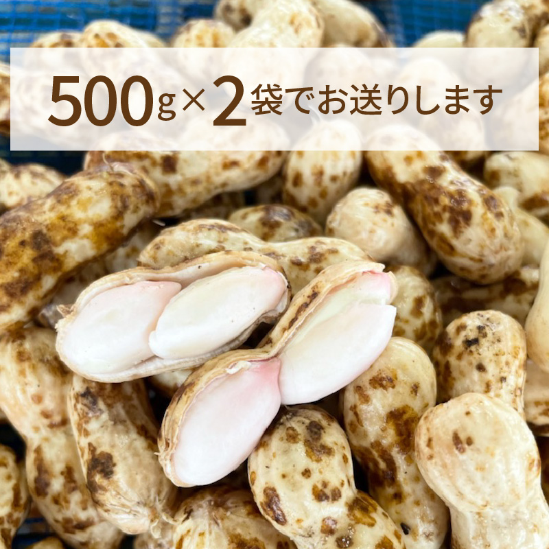 【2026年発送】事前予約 訳あり やみつき極うま “金の生落花生” 塩ゆで専用 1kg(500g×2袋）　H105-143
