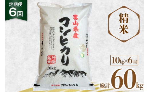 米 令和8年産 コシヒカリ 精米 10kg 6回 定期便 [サンライス青木 富山県 朝日町 34310556] お米 おこめ こめ kome コシヒカリ 精米 定期 10キロ 6ヶ月 令和8年 ごはん