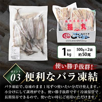 ふるさと納税 越前町 越前漁師福丸の骨取りメギス開き　1kg(50尾前後) |  | 03