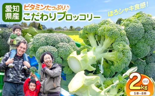 2026年12月より発送！こだわりブロッコリー　栽培期間中化学肥料/農薬不使用　2kg以上(5-8本)│事前受付 期間限定 ぶろっこりー 野菜 緑黄色野菜 お取り寄せ