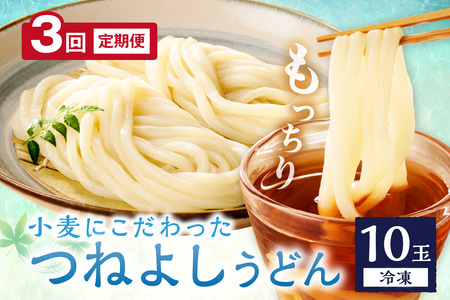 【定期便3回】冷凍うどん10玉入_KI00033_うどん
