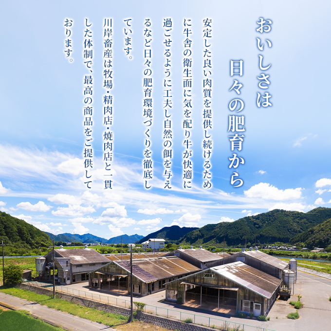 神戸ビーフ 神戸牛 牝 特選肩 500g 川岸畜産 すき焼き しゃぶしゃぶ 焼肉 冷凍 肉 牛肉