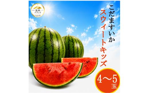 【 JA北つくば 】 こだますいか 「 スウィートキッズ 」 4～5玉 2026年産 スイカ 果物 フルーツ