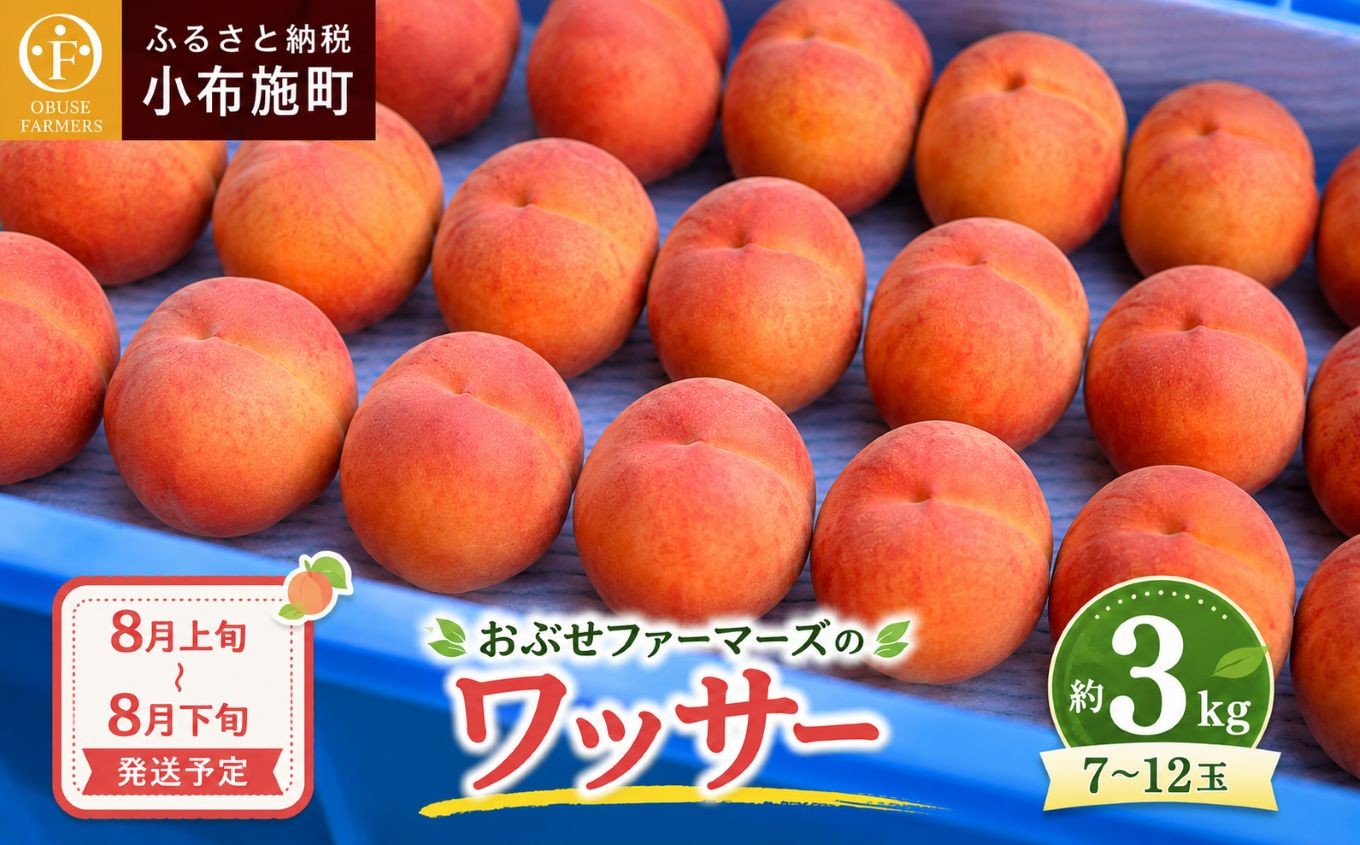 
                  ワッサー 約3kg 7～12玉 ［おぶせファーマーズ］果物 フルーツ クール便 冷蔵便 長野県産 信州産 令和8年産【2026年8月上旬～下旬発送】［F-39］
                