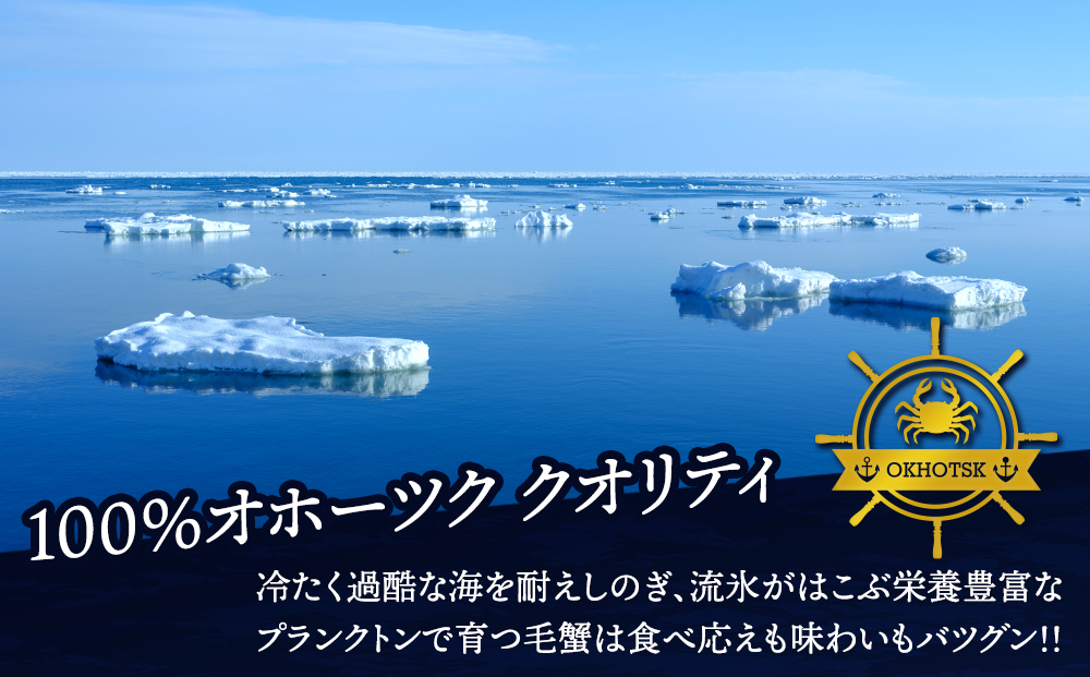 ☆北海道産 毛ガニ 約500g×1尾　かに 蟹 毛蟹 冷凍 北海道産 浜頓別町