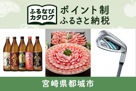 【有効期限なし！後からゆっくり特産品を選べる】宮崎県都城市カタログポイント