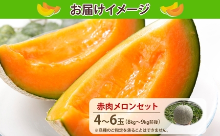 【 のざわ農園 】日高 赤肉メロン 4～6玉（約8kg～9kg）北海道 日高産