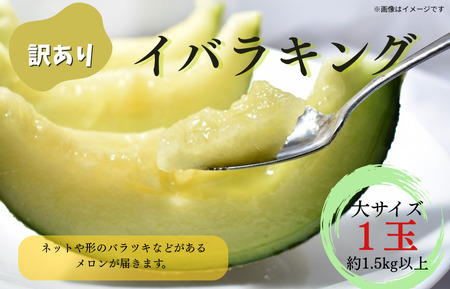 【訳あり】イバラキングメロン（大）1玉（約1.5kg以上）