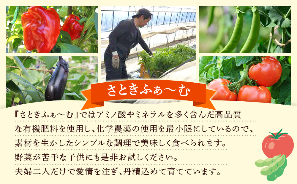【先行予約】旭川のおまかせ野菜セット(トマト2kg＋3種以上)(2026年7月下旬発送開始)_05910