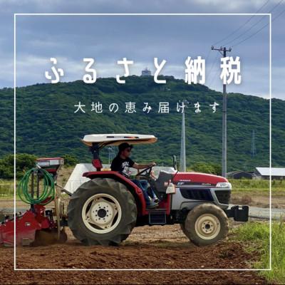 ふるさと納税 田原市 田原ぎょうざ 100個 |  | 03