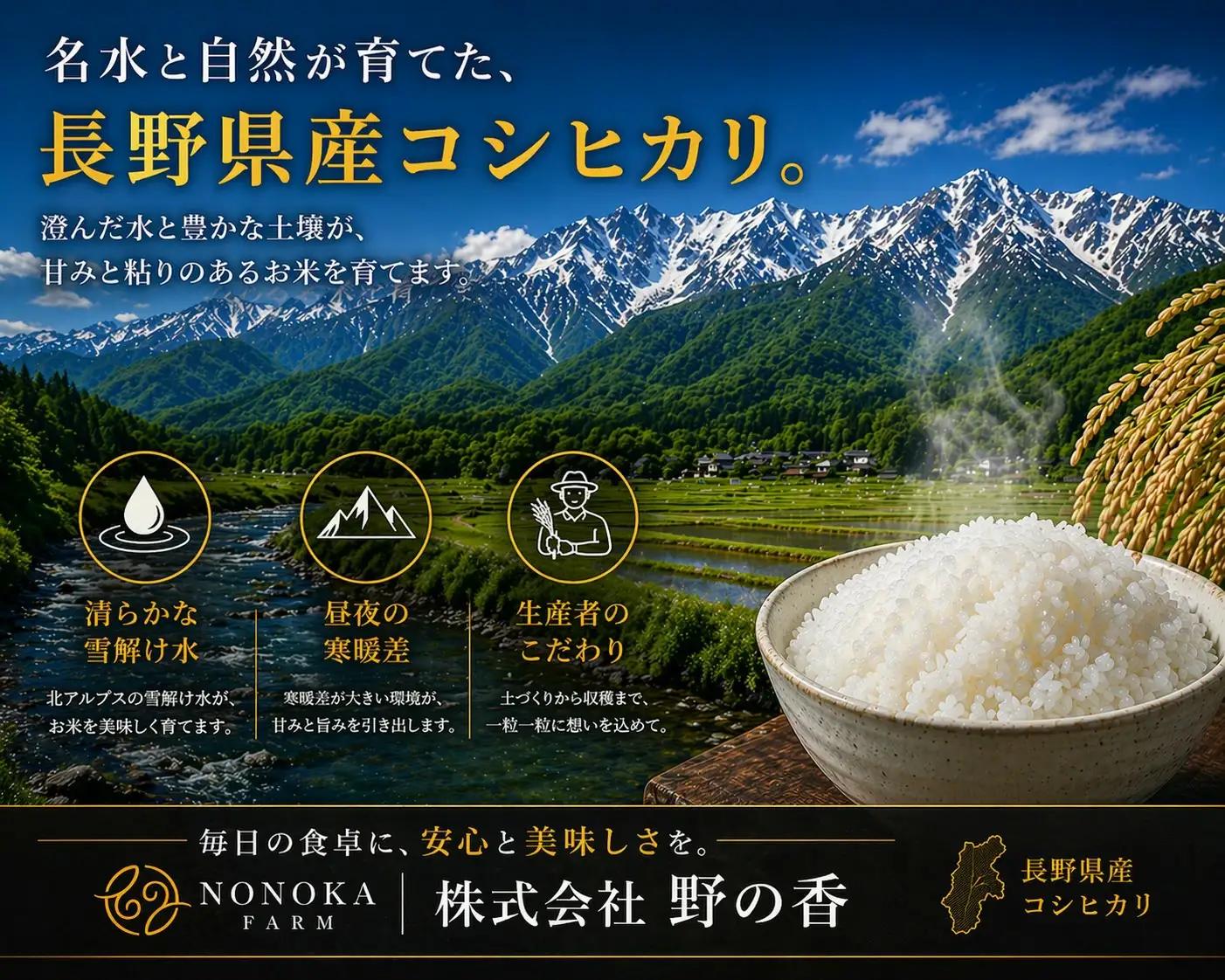 【2026年米 先行予約】金芽米 生坂村産コシヒカリ 無洗米 5kg 長野県産 | コシヒカリ