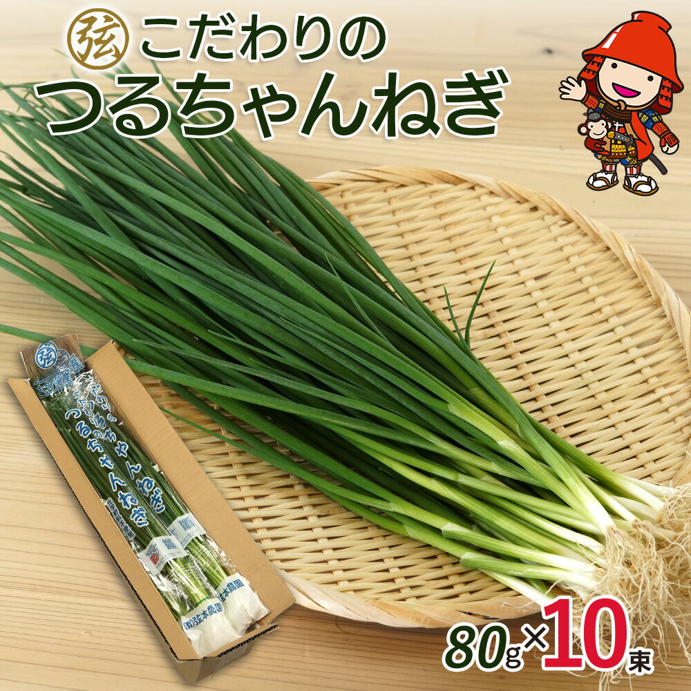【ふるさと納税】弦本農園のこだわりのつるちゃんねぎ 80g×10束 | 葱 ねぎ ネギ 小葱 小ねぎ 小ネギ 薬味 大分県 中津市 国産