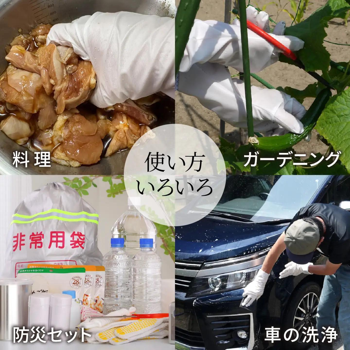 シームレスクリーン 手袋 10双 訳あり Mサイズ /  手袋 作業用
