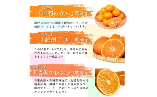 【全6回】旬のフルーツ定期便 【田村みかん 紀州デコ(不知火) 清見オレンジ 小玉スイカ 桃 ゆら早生みかん】 和歌山の旬をお届け【tkb314】