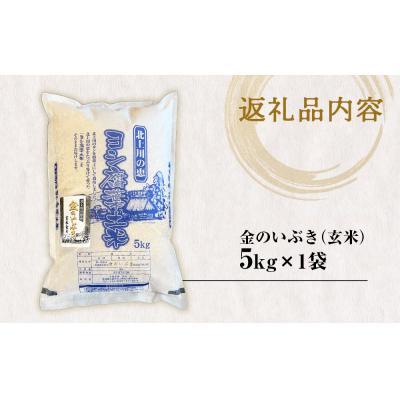 ふるさと納税 石巻市 米 令和7年産 ヨシ腐葉土米　金のいぶき(玄米) 5kg 少量 小分け 家庭用 ご飯 お米 防災減災 |  | 02