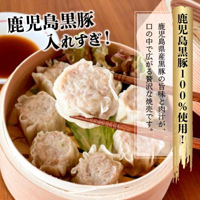 ふるさと納税 南九州市 鹿児島黒豚入れすぎ!肉焼売45個 |  | 01