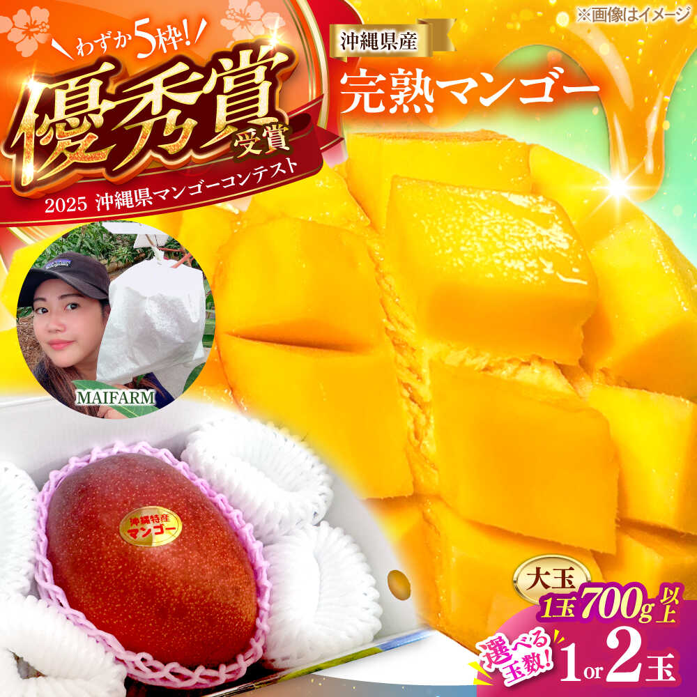 【ふるさと納税】【最優秀賞受賞】沖縄県産 完熟マンゴー 大玉 1個 or2 個入り マンゴー 沖縄 果物 フルーツ ギフト 沖縄市 / MAIFARM[BCAN005]
