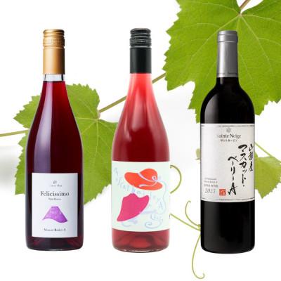 ふるさと納税 山梨市 山梨市産マスカットベーリーA　3本セット