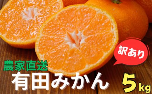 【訳あり】農家直送 有田みかん 約5kg ご家庭用 サイズ混合 ※2024年11月中旬から2025年1月中旬までに順次発送予定（お届け日指定不可）  訳ありみかん 温州みかん 有機質肥料100% ふるさと納税 柑橘 有田 産地直送【nuk161】