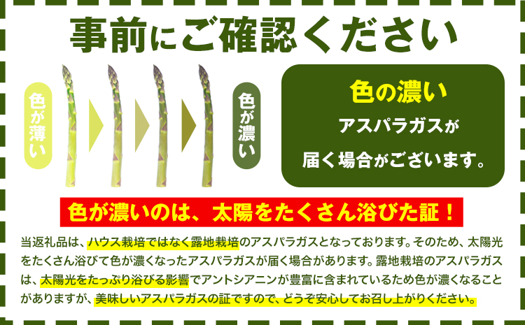 【先行予約】朝採りアスパラガス Lサイズ(1kg) 《2026年5月中旬-5月下旬頃出荷予定》北海道 名寄市 送料無料 朝採り 新鮮 アスパラ---nayoro_loc_8_1kg---st-p