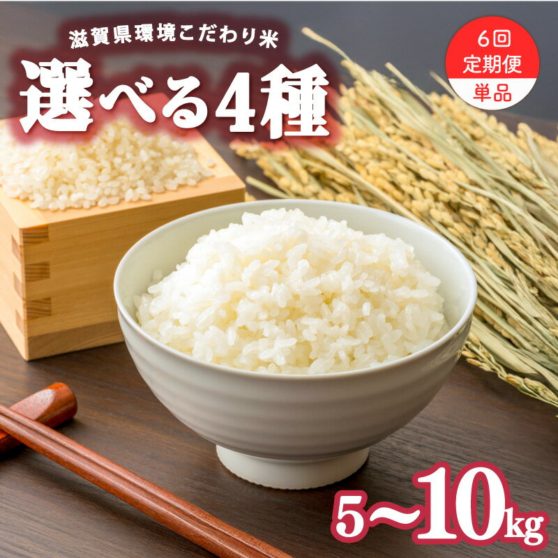 【ふるさと納税】 令和7年産 5kg 10kg 選べる コシヒカリ みずかがみ きぬむすめ ゆうだい21 5kg 【 品種 容量 定期便 】白米 米 精米 2025年産 国産 滋賀県 日野町 農家直送 お米 精米 おこめ こめ 産地直送 ふるさと納税 こしひかりお買い物マラソン