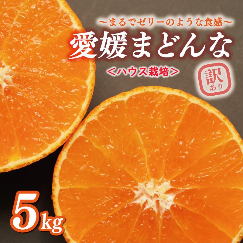 先行予約 数量限定 ハウス栽培 訳あり まどんな 5kg わけあり みかん mikan 蜜柑 ミカン 国産 愛果28号 紅まどんな 同品種 あいか アイカ 高級 人気 ブランド 柑橘 ハウス栽培 マドンナ 甘い おいしい 前田ファーム 愛南町 愛媛県