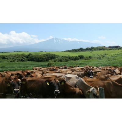 ふるさと納税 にかほ市 幸せのミルク使用 ヨーグルトコーヒーシャンプー[No.5934-0091] |  | 02