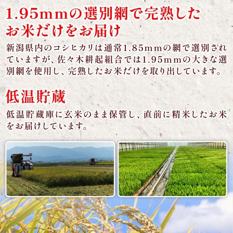 【新米 定期便】 6kg × 12ヶ月 令和8年産 新潟県産 特別栽培米コシヒカリ 米 お米 ごはん 白米 コシヒカリ 佐々木耕起組合 プレゼント ギフト 贈答 定期便 特別栽培米 佐々木耕起 佐々木