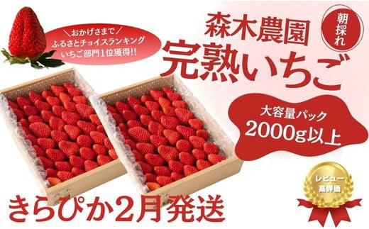 
060-27　【2月発送】完熟☆濃く甘いちご『きらぴ香』合計2000ｇ以上！【常温発送】※静岡限定品種
