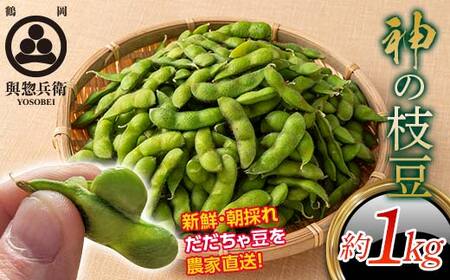≪2026年先行予約≫【與惣兵衛】山形県産 神の枝豆 だだちゃ豆 約1kg 2026年8月上旬から順次発送 F2Y-5460