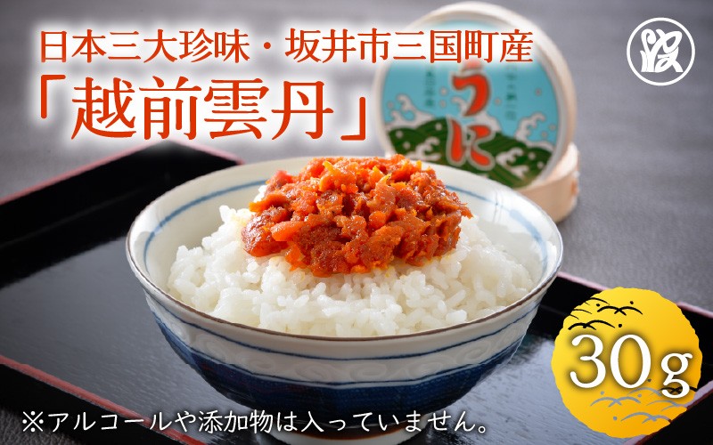 
                  日本三大珍味 坂井市三国町産 越前雲丹 30g 【うに 塩うに 塩雲丹 汐うに 汐雲丹 しおうに 酒の肴 お取り寄せ おつまみ ご飯に合う ご飯のお供 】 [F-1701]
                