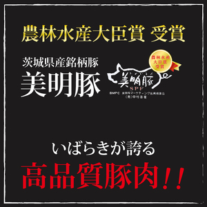 【6ヶ月定期便】【美明豚】カレー5パック（EK-73_2）