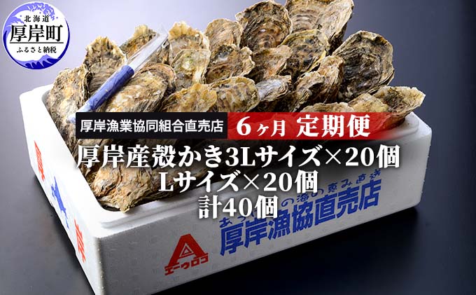 定期便 6ヶ月 北海道 厚岸産 牡蠣 3L 20個 と L 20個 ひと月あたり40個お届け (各回40個×6ヶ月分,合計240個) 殻付き 生食 かき カキ 魚貝類 生牡蠣 