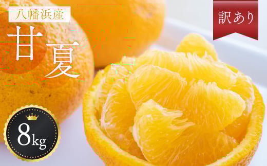 3/17受付終了_八幡浜産・甘夏8kg＜訳あり＞＜C56-24＞_甘夏 みかん あまなつ ミカン 蜜柑 愛媛県 国産 訳アリ わけあり 8㎏ 果物 フルーツ 果実 柑橘 マーマレード ジャム デザート