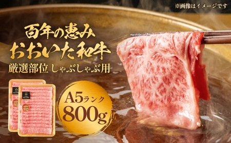 「百年の恵み おおいた和牛」A5しゃぶしゃぶ 800g おおいた和牛 大分県産 黒毛和牛 A5ランク すき焼き用 牛肉 霜降り肉 ロース 肩ロース もも 肩部位 美味しい 高評価 種雄牛 風味 800g A5 等級 玖珠店
