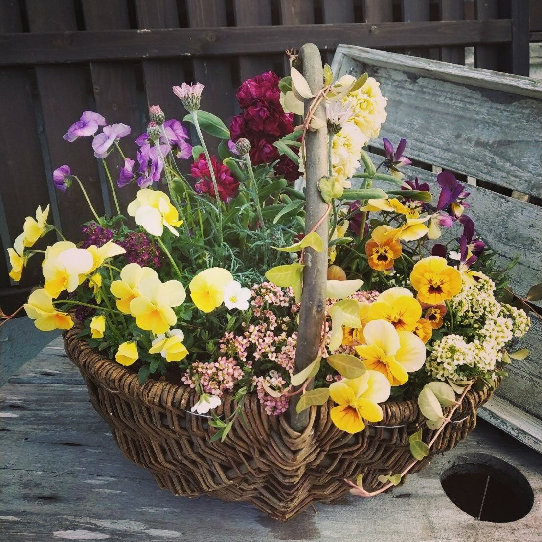 【ふるさと納税】 お花一杯バスケット寄せ植えLサイズ(35cm程度)季節の寄せ植え | お花 花 バスケット 季節の花 ガーデニング ガーデン 寄せ植え 苗 兵庫県 上郡町