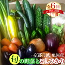 【ふるさと納税】【6回定期便】隔月6回お届け 京都丹波・亀岡発 旬の野菜・こしひかり 詰め合わせセット≪京野菜 令和6年産 米 定期便 ふるさと納税野菜≫ 先行受付 初回発送月選択 ※北海道、離島、沖縄地域への発送不可 発送時期が選べる 楽天限定