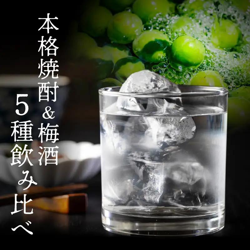 にちなん 焼酎 飲み比べ ミニボトル セット 合計5本 アルコール 国産 お酒 地酒 晩酌 芋焼酎 麦焼酎 梅酒 飲料 宅呑み 家呑み 宅飲み 希少 ロック 水割り お湯割り ソーダ割 人気 おすすめ
