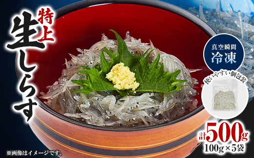 《500g》特上新鮮生しらす(100g×5袋)漁師直送!鮮度が自慢　個包装で便利【配送不可地域：離島】【1737687】