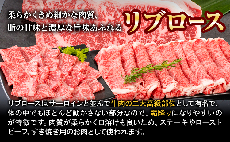 牛肉 熊野牛 リブロース 焼肉 用 500g 株式会社Meat Factory《30日以内に出荷予定(土日祝除く)》和歌山県 日高川町 送料無料 国産 牛肉 肉 黒毛和牛 リブ ロース 焼肉用 焼き肉